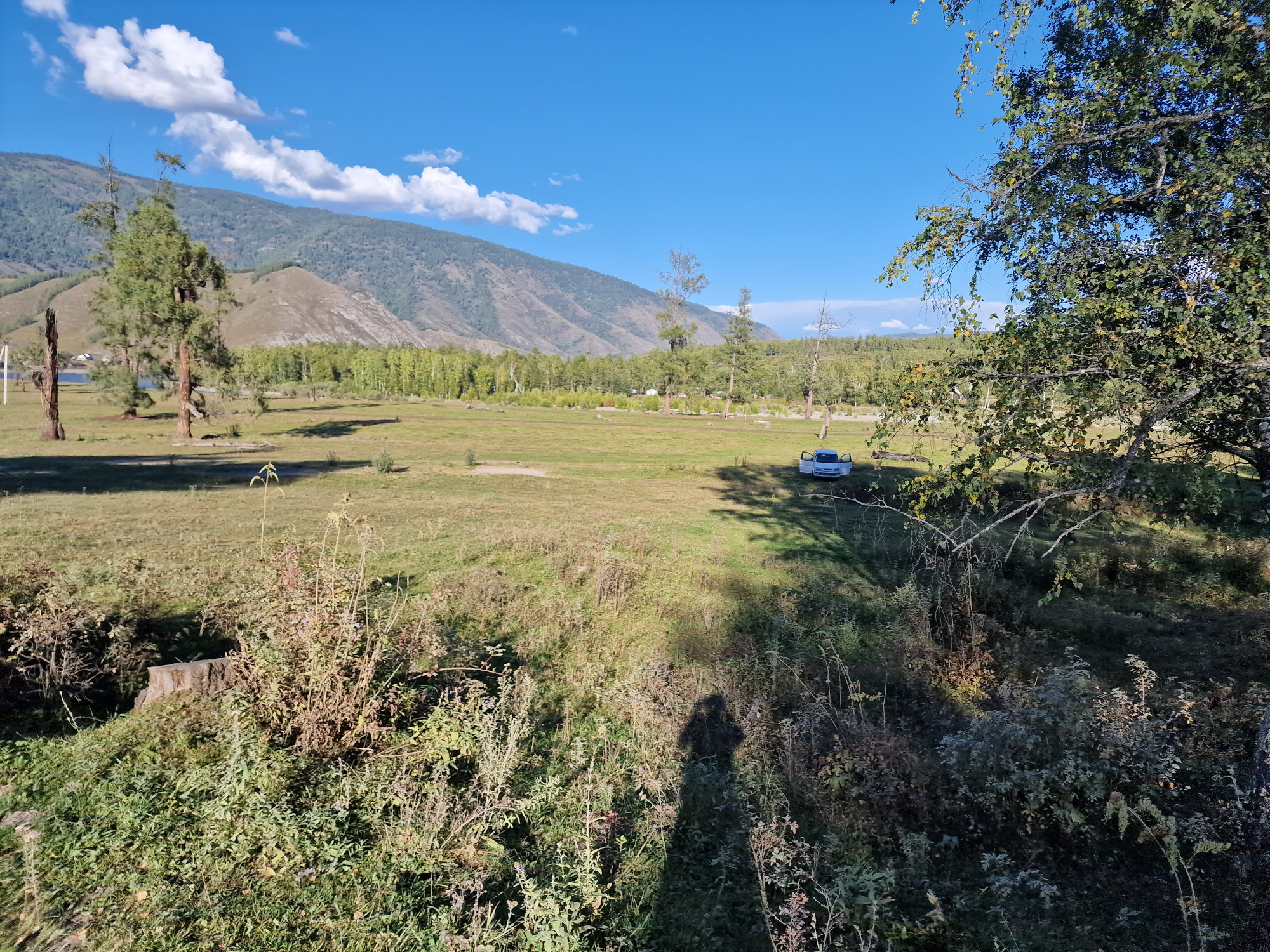 Buy a plot of 2.3 hectares from Tungur land plots of the Altai Mountains